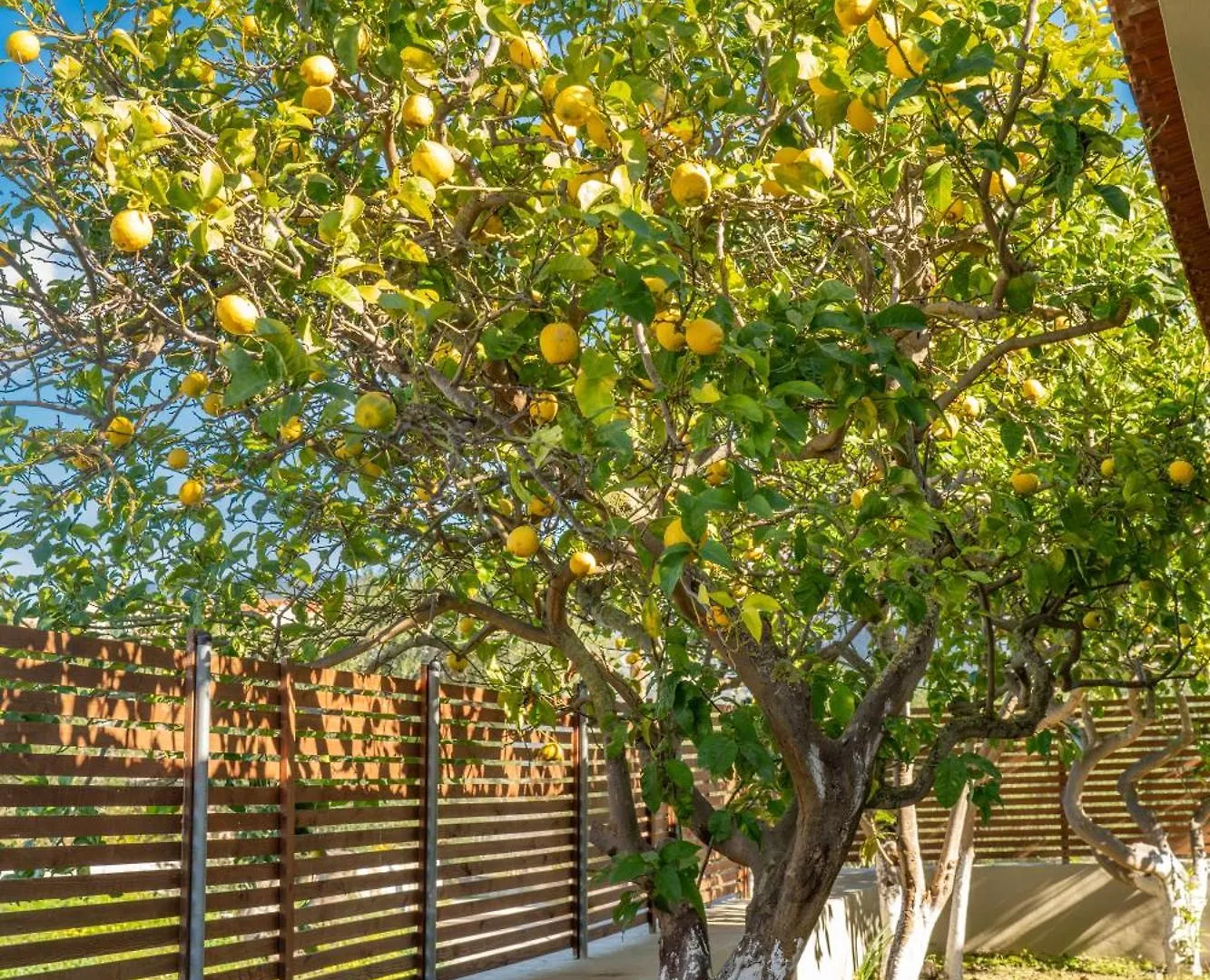 Casa Katrine Villa Lakithra Holiday home